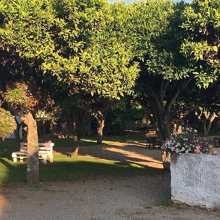 La Purissima Bed and Breakfast Alghero Zewnętrze zdjęcie