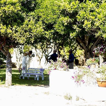 La Purissima Bed and Breakfast Alghero Zewnętrze zdjęcie