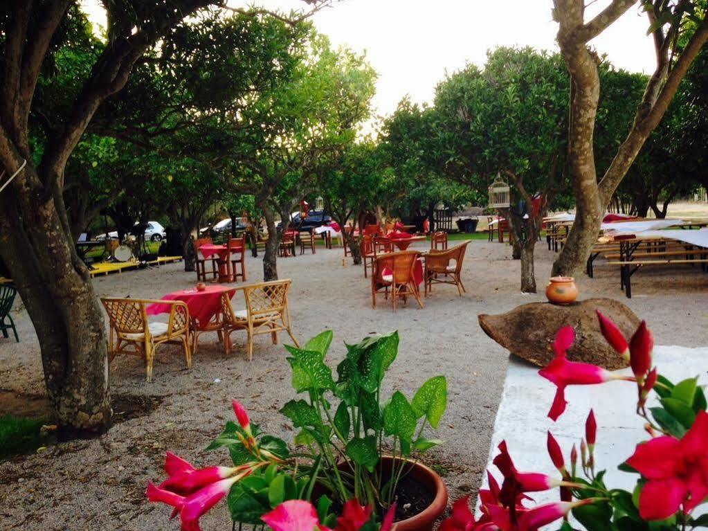 La Purissima Bed and Breakfast Alghero Zewnętrze zdjęcie